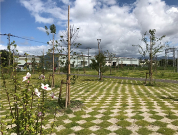 緑地帯整備後(平成30年9月)